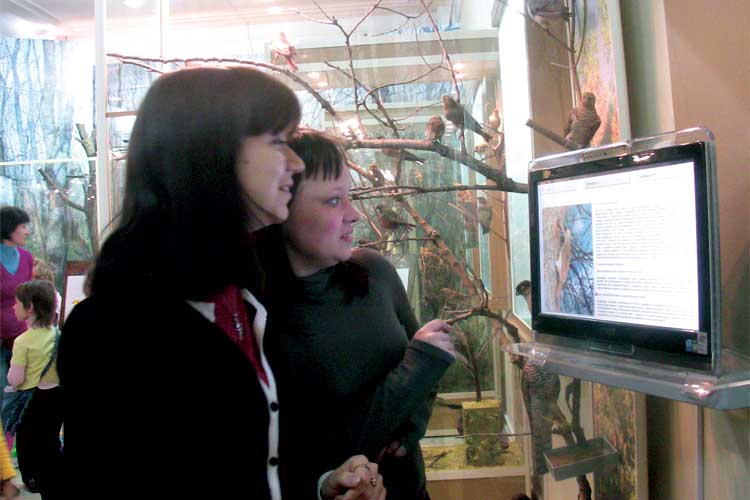 flash презентация на сенсорном экране в экспозиции "Природа нижнего Дона"